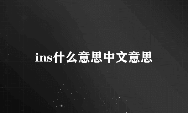 ins什么意思中文意思