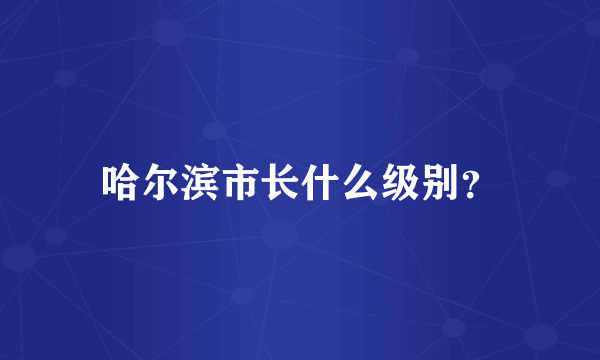 哈尔滨市长什么级别？