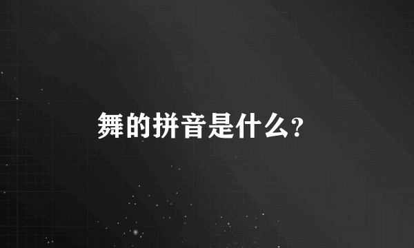 舞的拼音是什么？