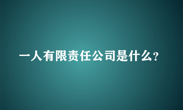 一人有限责任公司是什么？