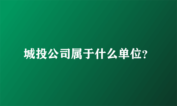 城投公司属于什么单位？