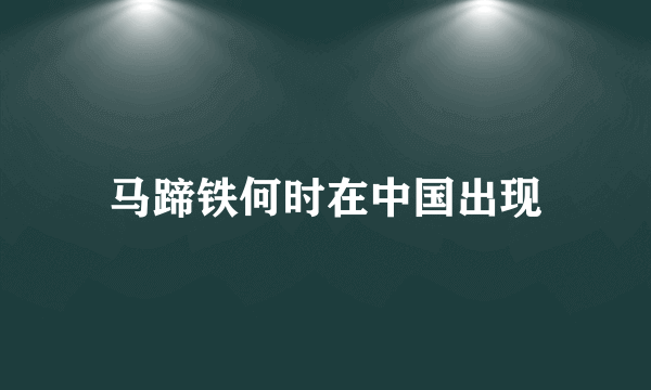 马蹄铁何时在中国出现