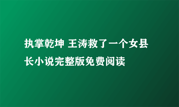 执掌乾坤 王涛救了一个女县长小说完整版免费阅读