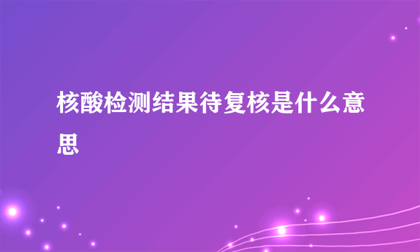 核酸检测结果待复核是什么意思