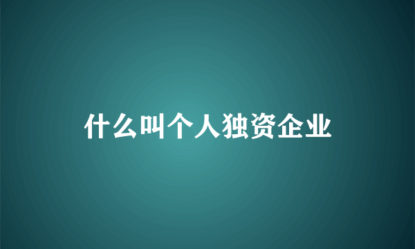 什么叫个人独资企业