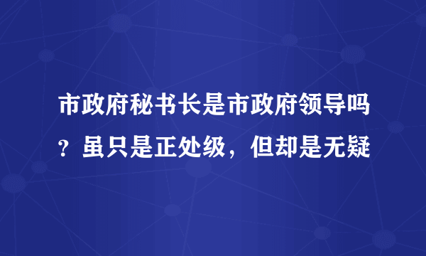 市政府秘书长是市政府领导吗？虽只是正处级，但却是无疑