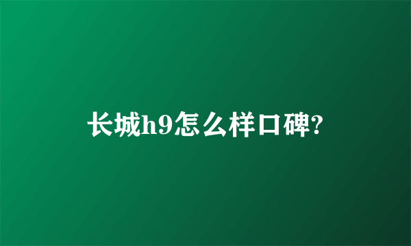 长城h9怎么样口碑?