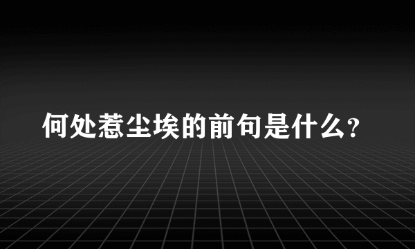 何处惹尘埃的前句是什么？