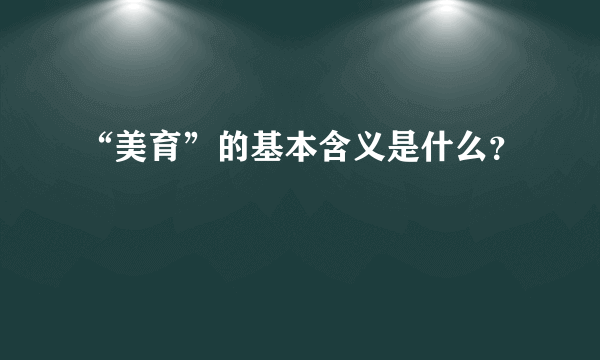 “美育”的基本含义是什么？