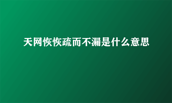 天网恢恢疏而不漏是什么意思