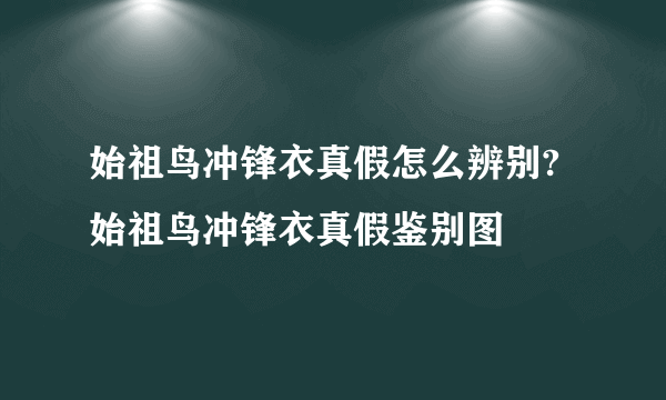 始祖鸟冲锋衣真假怎么辨别?始祖鸟冲锋衣真假鉴别图