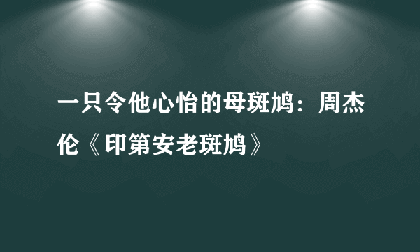 一只令他心怡的母斑鸠：周杰伦《印第安老斑鸠》