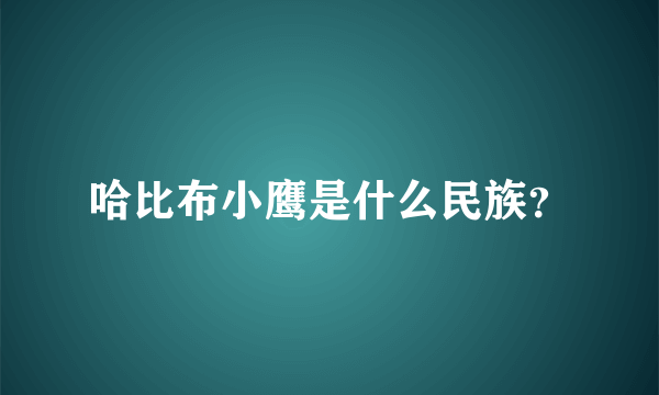 哈比布小鹰是什么民族？