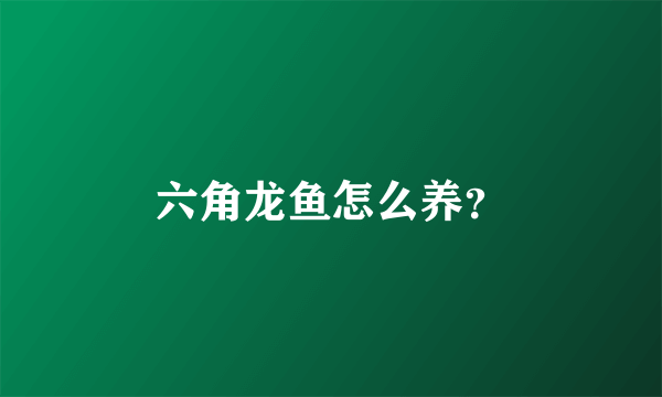 六角龙鱼怎么养？