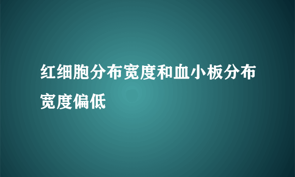 红细胞分布宽度和血小板分布宽度偏低