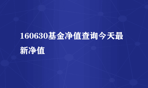 160630基金净值查询今天最新净值