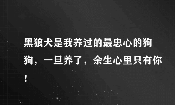 黑狼犬是我养过的最忠心的狗狗，一旦养了，余生心里只有你！