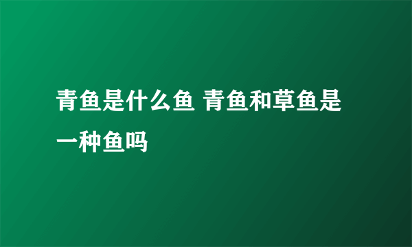 青鱼是什么鱼 青鱼和草鱼是一种鱼吗