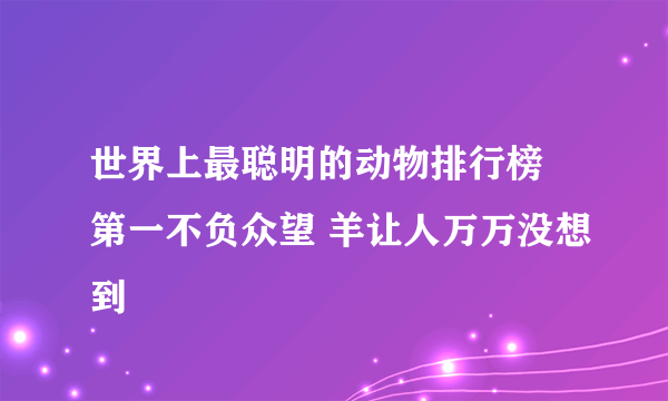 世界上最聪明的动物排行榜 第一不负众望 羊让人万万没想到