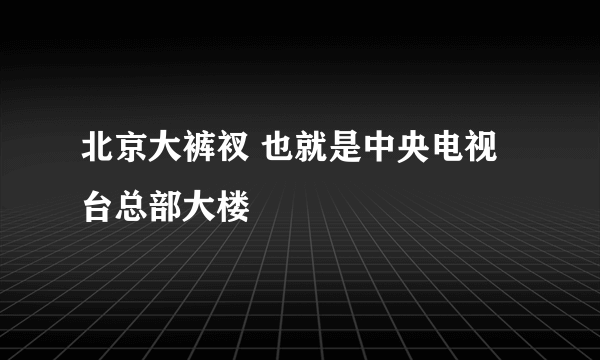 北京大裤衩 也就是中央电视台总部大楼 