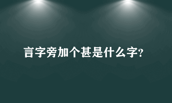 言字旁加个甚是什么字？