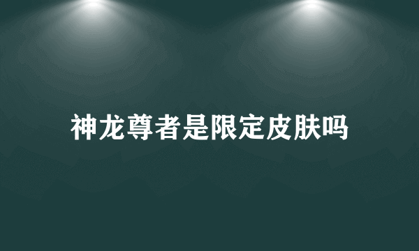 神龙尊者是限定皮肤吗