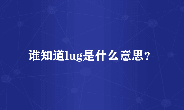 谁知道lug是什么意思？