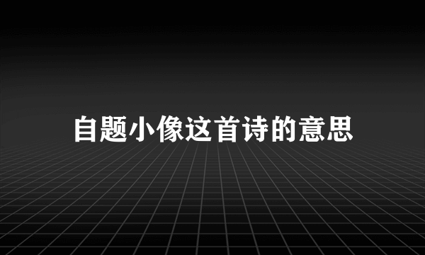 自题小像这首诗的意思