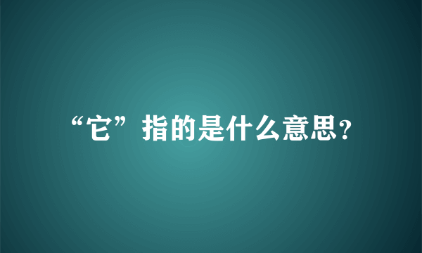 “它”指的是什么意思？