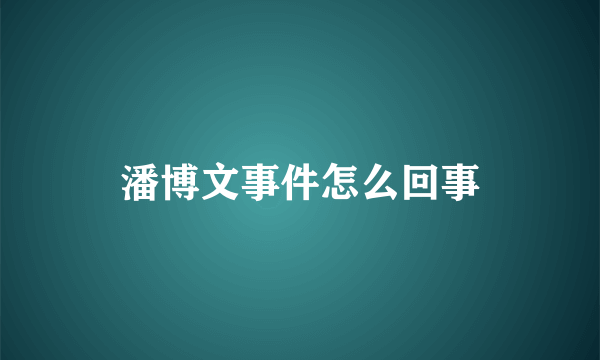 潘博文事件怎么回事