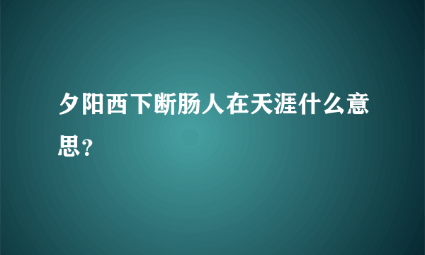 夕阳西下断肠人在天涯什么意思？