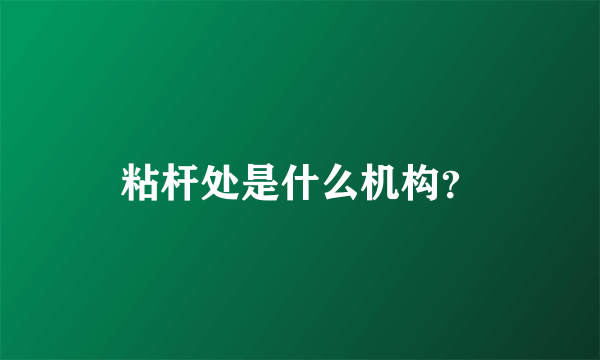 粘杆处是什么机构？