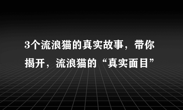 3个流浪猫的真实故事，带你揭开，流浪猫的“真实面目”