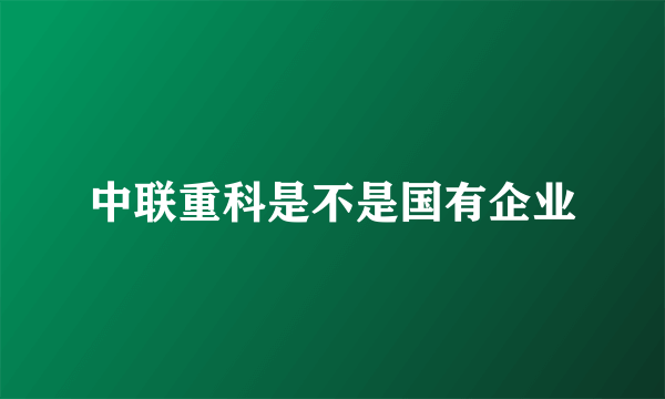 中联重科是不是国有企业