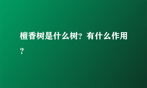 檀香树是什么树？有什么作用？