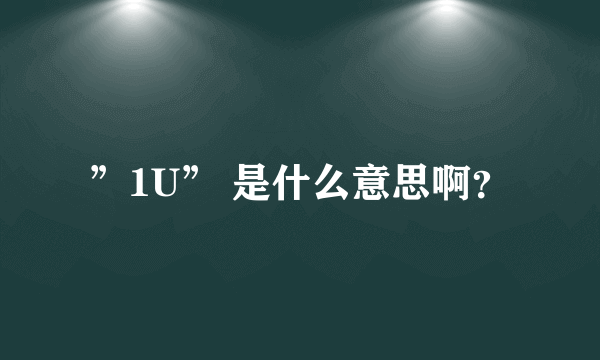 ”1U” 是什么意思啊？