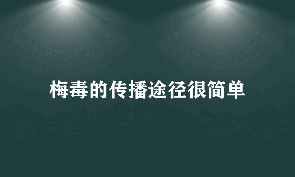 梅毒的传播途径很简单