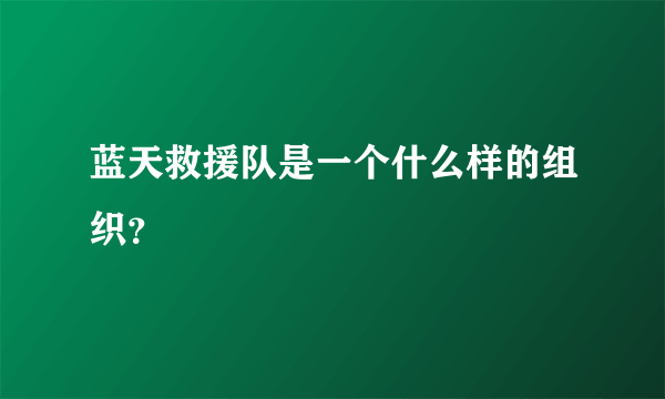 蓝天救援队是一个什么样的组织？