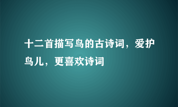 十二首描写鸟的古诗词，爱护鸟儿，更喜欢诗词