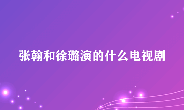 张翰和徐璐演的什么电视剧