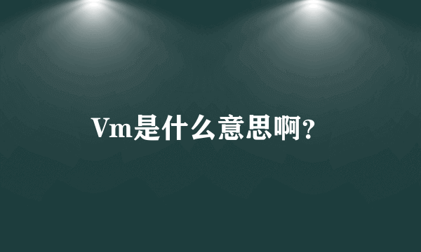 Vm是什么意思啊？