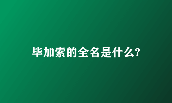 毕加索的全名是什么?