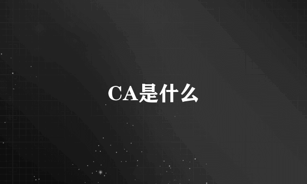 CA是什么