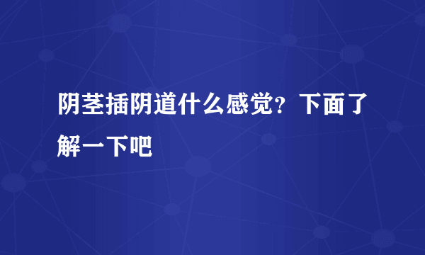 阴茎插阴道什么感觉？下面了解一下吧