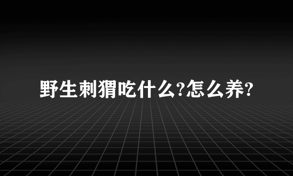 野生刺猬吃什么?怎么养?