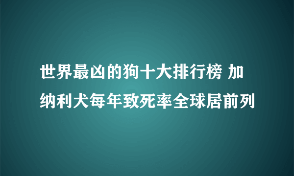 世界最凶的狗十大排行榜 加纳利犬每年致死率全球居前列