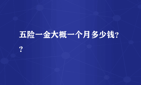 五险一金大概一个月多少钱？？