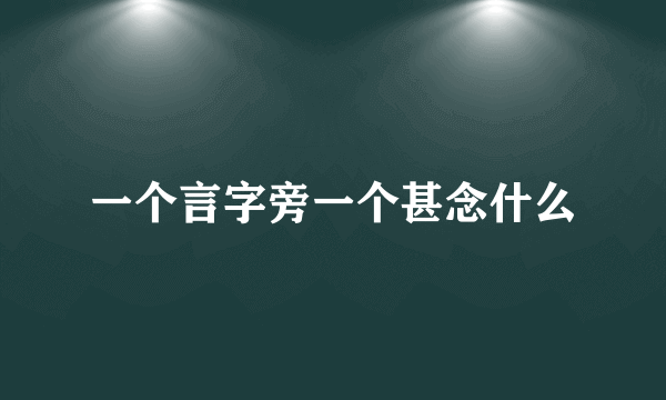 一个言字旁一个甚念什么