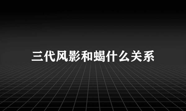 三代风影和蝎什么关系