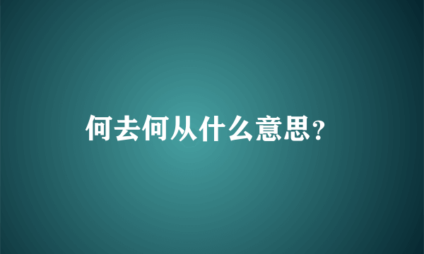 何去何从什么意思？